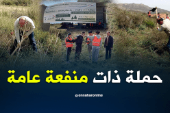 بالصور.. حملة لتشجير أرز الأطلس بشلاطة في بجاية