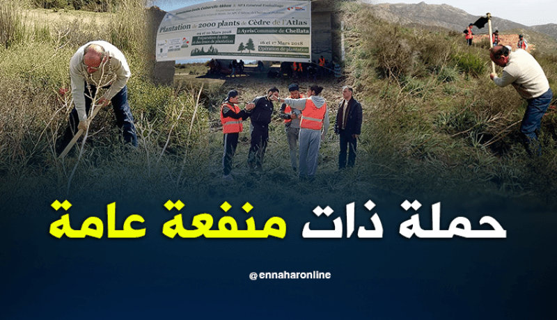 بالصور.. حملة لتشجير أرز الأطلس بشلاطة في بجاية
