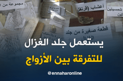 توقيف أكبر مشعوذ بالبيض وحجز حروز وطلاسم