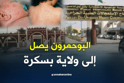تسجيل 12 حالة لداء البوحمرون ببسكرة