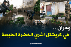 بالفيديو والصور.. دشرة كريشتل جنة طبيعية قرب وهران