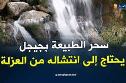 شلالات ﭬريو بجيجل.. منطقة سياحة منسية
