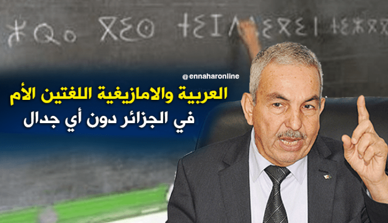 رئيس المجلس الأعلى للغة العربية.. العربية والأمازيغية اللغتين الأم في الجزائر بدون أي جدال