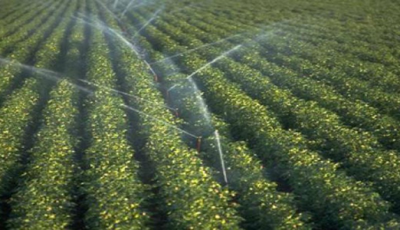 توفير 10 ملايين متر مكعب من مياه السقي بولاية عين تموشنت