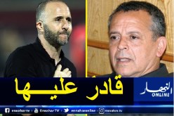 بلومي: “بلماضي لديه الخبرة الكافية للنجاح في تصفيات كأس العالم 2022”