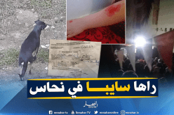 بالفيديو والصور.. الإقامة الجامعية نحاس بقسنطينة مرتع للفساد والكلاب الضالة