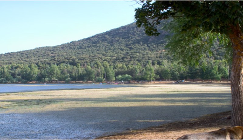 تدابير جديدة لحماية الموارد الإيكولوجية للمناطق الرطبة بالنعامة