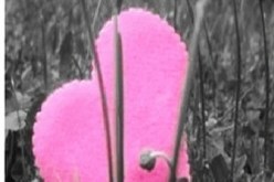 النهار تساعدك على دخول القفص الذهبي