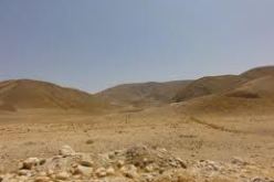 الجفاف يهلك المحاصيل الزراعية بالأوراس