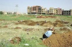 الجفاف يسبب تذبذب في المنتوج الفلاحي بخنشلة