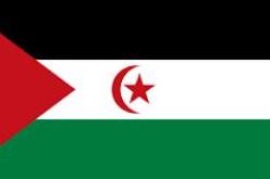 الأمين العام لشباب الساقية الحمراء ووادي الذهب يدعو المغرب إلى الإنصياع للشرعية الدولية