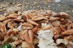 رغم الإمكانيات..500 مليار سنتيم من الخبز ترمى سنويا