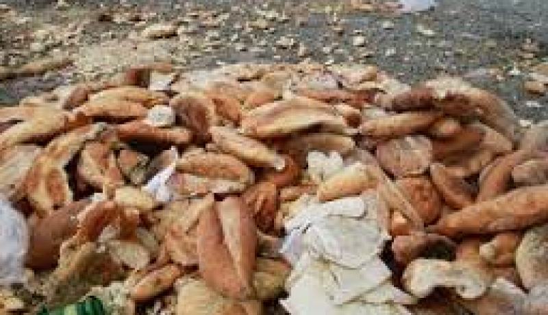 رغم الإمكانيات..500 مليار سنتيم من الخبز ترمى سنويا