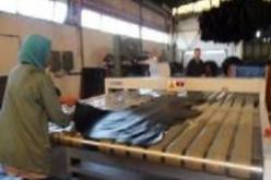 ضرورة تكوين يد عاملة مؤهلة لمواكبة المتطلبات الإقتصادية الوطنية