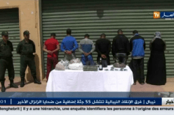 إحباط محاولة تهريب أكثر من 8 كيلو غرام من الكيف المعالج ببني ونيف