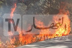 اخماد 74 حريق تسبب في خسارة 323 هكتار من المساحة الغابية خلال 24 ساعة