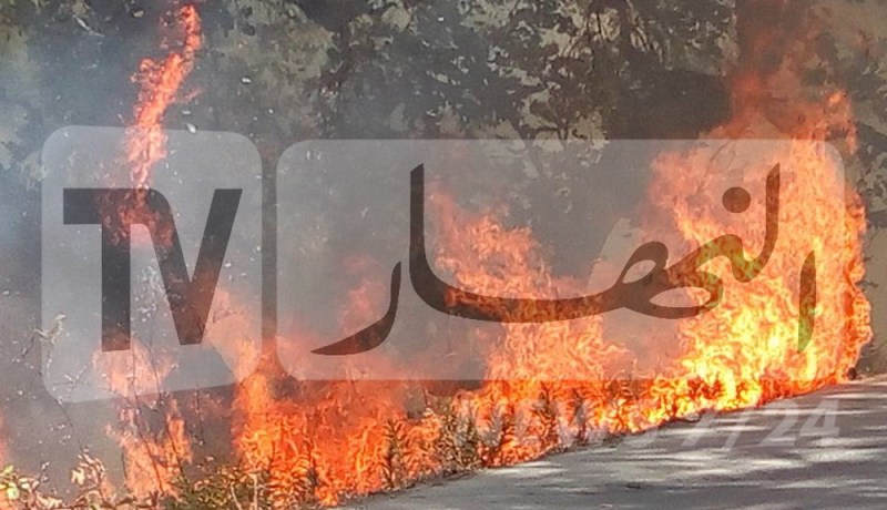 اخماد 74 حريق تسبب في خسارة 323 هكتار من المساحة الغابية خلال 24 ساعة