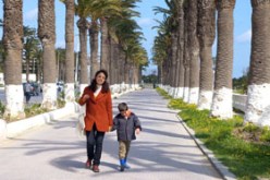 النخيل الجريح” عمل تونسي جزائري في غياب السيناريو المشترك