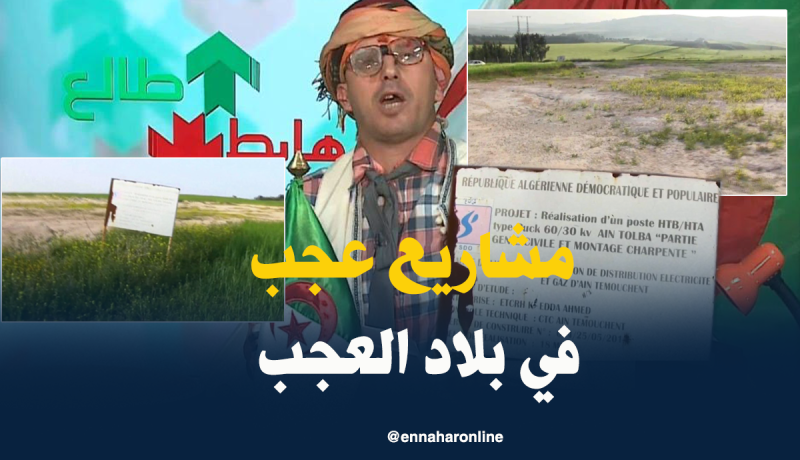 الشيخ النوي.. شاهد ماذا فعلت سونلغاز في أرض فلاحية