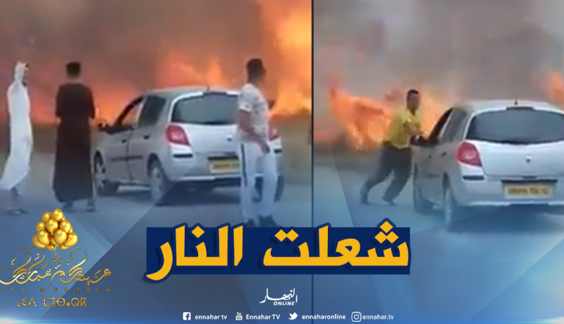 بالفيديو .. حريق مهول يأتي على محاصيل زراعية بالشلف