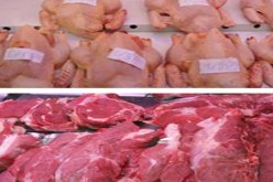 تحقيق إنتاج أكثر من 26 ألف قنطار من اللحوم بالبليدة