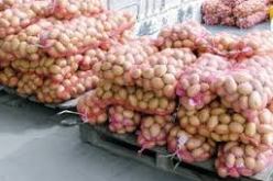 نـعـمــل عـلـــى رفـــع إنـتـاج البـطــاطـــا لمحــاصــرة مـافـيـــا المــضـــاربـة