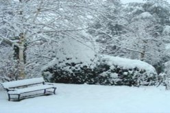 ثلوج مرتقبة على مرتفعات غرب و وسط البلاد