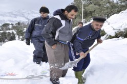 9 آلاف نسمة ببلدية عين الزانة بسوق أهراس محاصرة وسط الثلوج