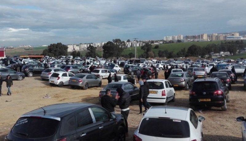 العاصميون الأكثر شراء للسيارات والبليديون يؤكدون عشقهم “للموطوات”
