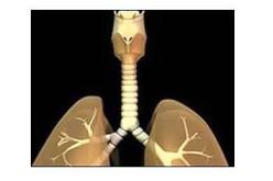 إيران تنجح في أول عملية زرع قصبة هوائية اصطناعية في العالم