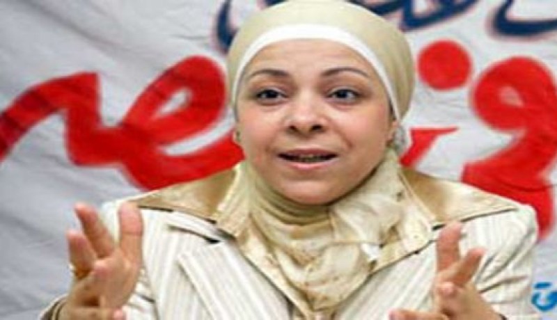 ويكيليكس تكشف تمويل مسؤولة مصرية