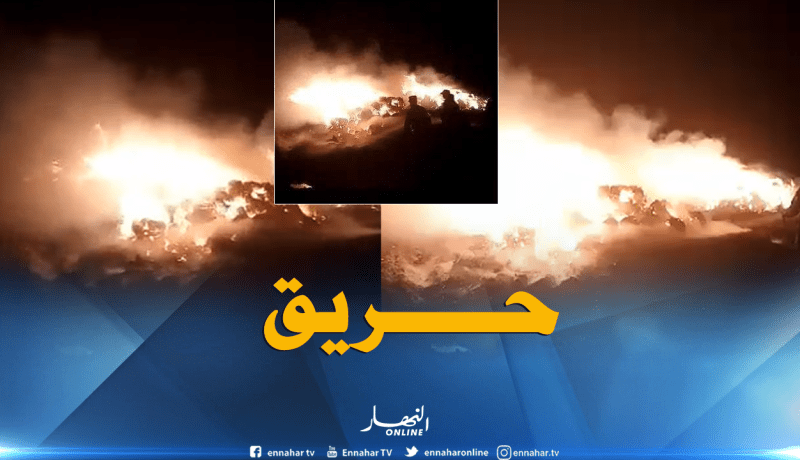 رئيس نيس يلمح لإمكانية مغادرة عطال الفريق هذا الصيف