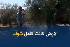 غليزان/ نماذج ناجحة في الإستثمار الفلاحي و أزيد من 30 محيط غابي مفتوح للإستثمار