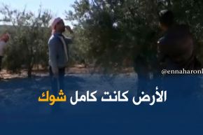 غليزان/ نماذج ناجحة في الإستثمار الفلاحي و أزيد من 30 محيط غابي مفتوح للإستثمار