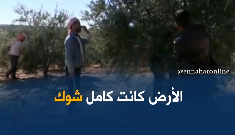 غليزان/ نماذج ناجحة في الإستثمار الفلاحي و أزيد من 30 محيط غابي مفتوح للإستثمار