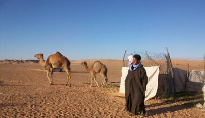 تبادل إطلاق النّار بين موال وخليجيين بصحراء قطارة بالجلفة