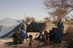 تسليح البدو الرحل لمواجهة لصوص المواشي والتهديدات الإرهابية