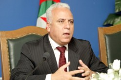 موسى: حصة الأجانب ستكون ضئيلة في برنامج المليون مسكن المقبل