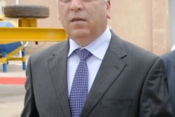 حمار في الـ بالكون