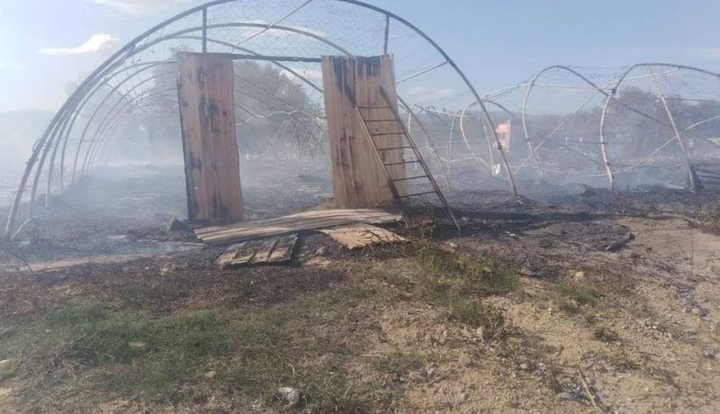 حريق يأتي على 7 بيوت بلاستيكية و4 آلاف دجاجة وألفي كتكوت بجيجل