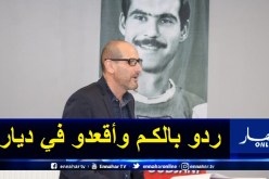 بالفيديو.. شريف أوجاني يوجه رسالة خاصة للشعب الجزائري