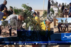 الوادي : نحو غرس 18 الف شجرة بالولاية المنتدبة المغير