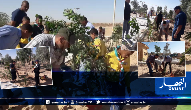 الوادي : نحو غرس 18 الف شجرة بالولاية المنتدبة المغير