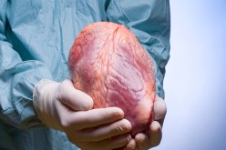 الحفاظ على سرية هوية المتبرعين بالأعضاء شرط أساسي للتبرع