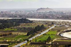 ولاية الأغواط تنال شرف الإحتفالات الرسمية للسنة الأمازيغية