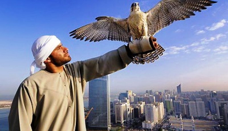 أمراء سعوديون دخلوا الجزائر للصيد بمقرر رئاسي مزوّر