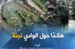 بالصور.. بطال يحول وادي مهجور إلى جنة بواسيف في تيزي وزو