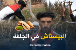 تجربة ناجحة لزراعة البيستاش في الجلفة