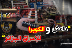 “داعش” و “الكوبرا” لإحراق الجزائريين في “المولود”