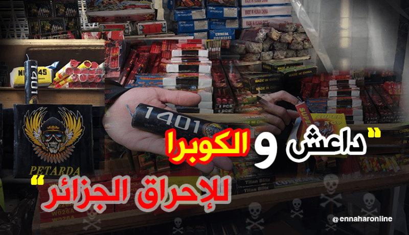 “داعش” و “الكوبرا” لإحراق الجزائريين في “المولود”